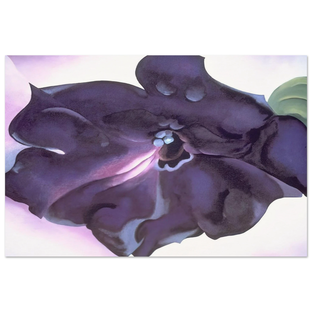 Petunia Poster | Georgia O'Keeffe Poster | Georgia O Keeffe Prints