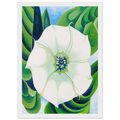 Jimson Weed Framed Poster | Georgia O'Keeffe Framed Prints Wall Art | Georgia O Keeffe Prints
