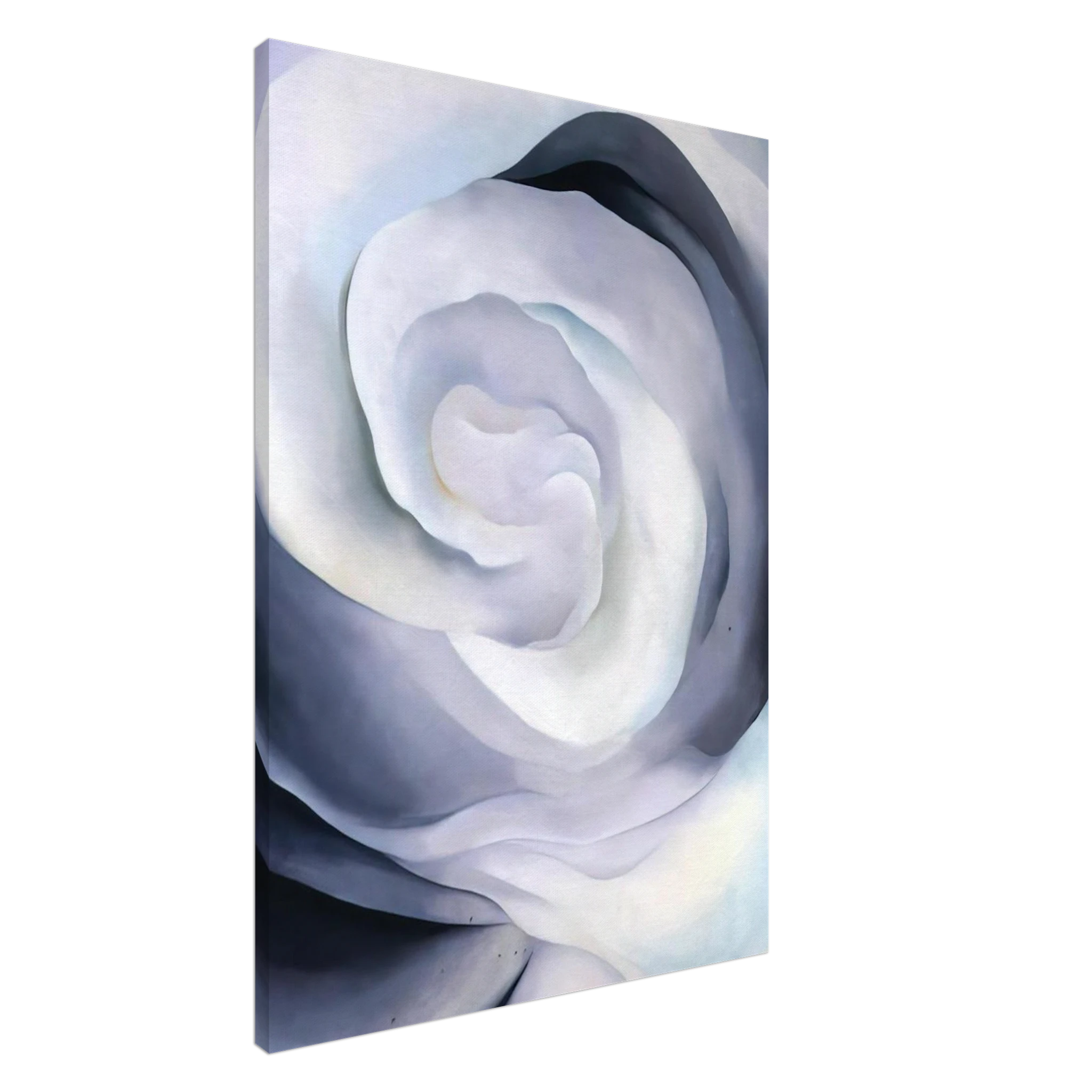 Abstraction White Rose Canvas | Georgia O'Keeffe Canvas | Georgia O Keeffe Prints