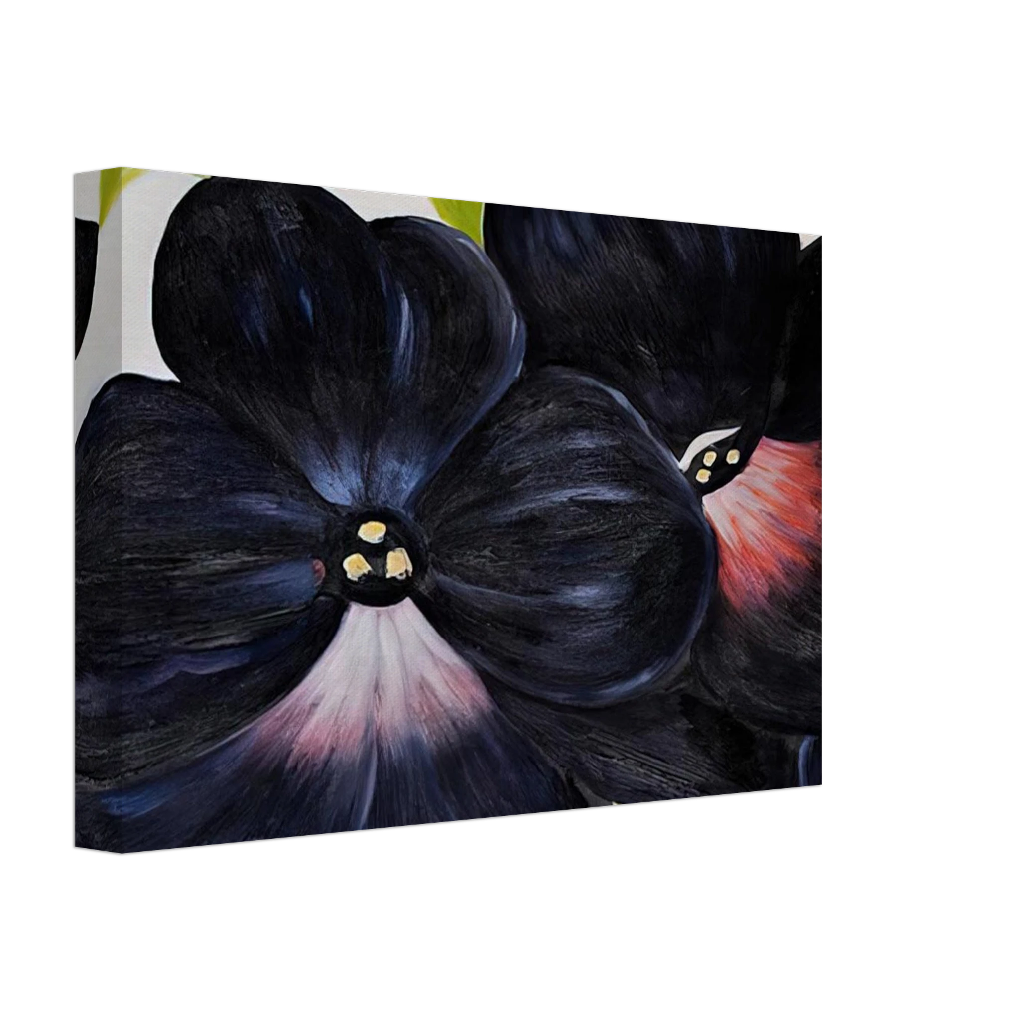 Black and Purple Petunias Canvas | Georgia O'Keeffe Canvas | Georgia O Keeffe Prints