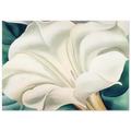 Jimson Weed 2 Poster | Georgia O'Keeffe Poster | Georgia O Keeffe Prints