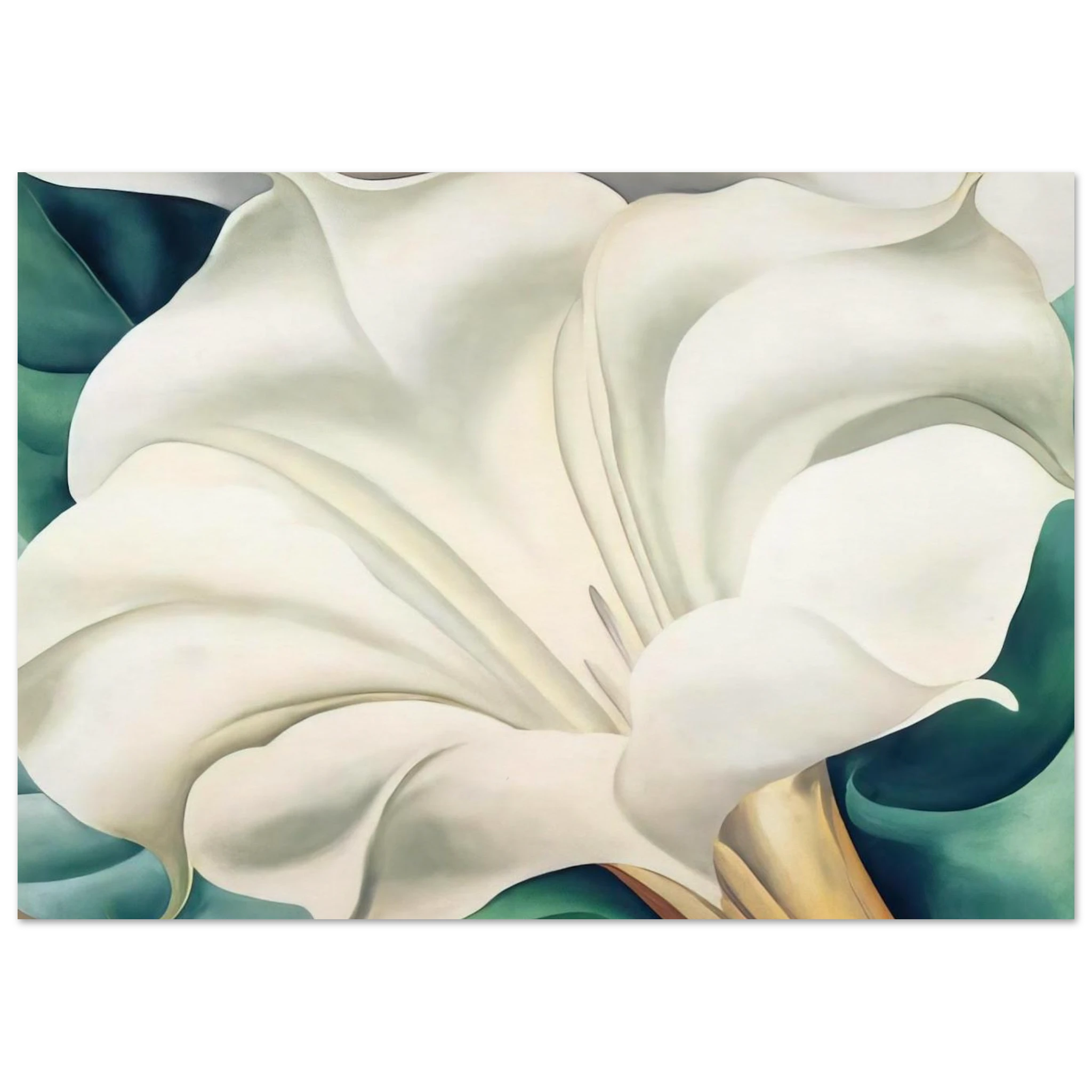 Jimson Weed 2 Poster | Georgia O'Keeffe Poster | Georgia O Keeffe Prints