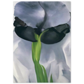 Iris 7 Poster | Georgia O'Keeffe Poster | Georgia O Keeffe Prints