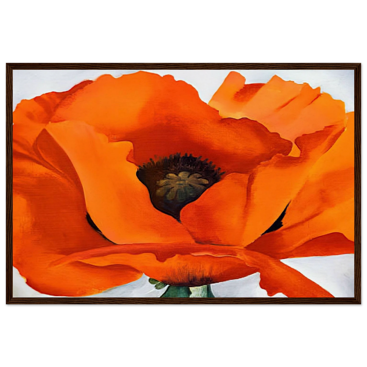 Red Poppy Framed Poster | Georgia O'Keeffe Framed Prints Wall Art | Georgia O Keeffe Prints