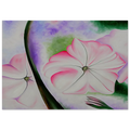 Petunia No. 2 Poster | Georgia O'Keeffe Poster | Georgia O Keeffe Prints