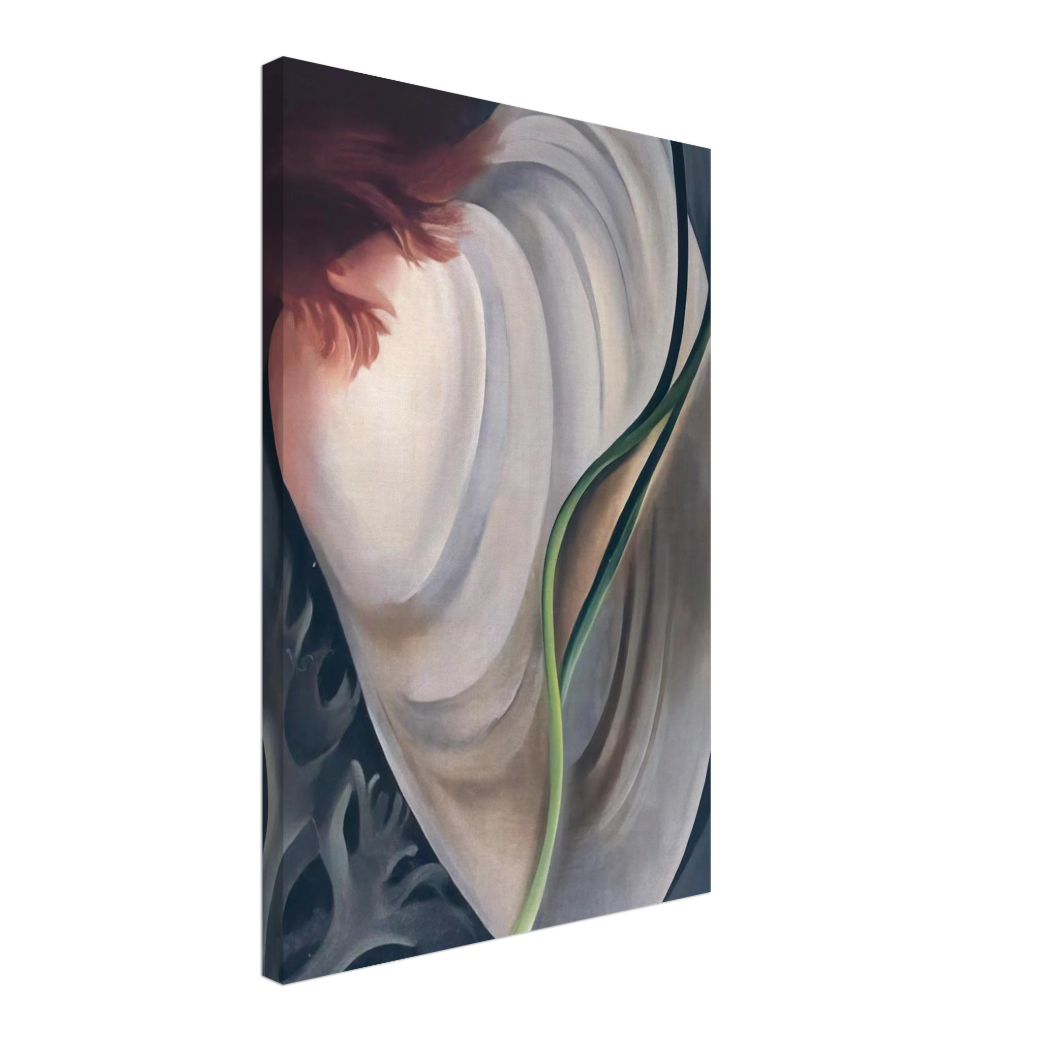 Shell No 2 Canvas | Georgia O'Keeffe Canvas | Georgia O Keeffe Prints