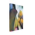 Spring Canvas | Georgia O'Keeffe Canvas | Georgia O Keeffe Prints