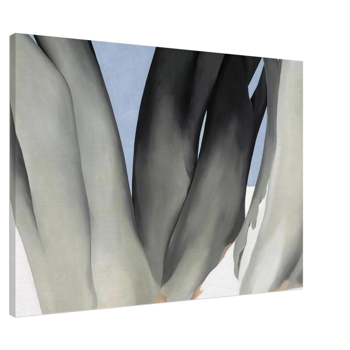 Bare Tree Trunks with Snow Canvas | Georgia O'Keeffe Canvas | Georgia O Keeffe Prints