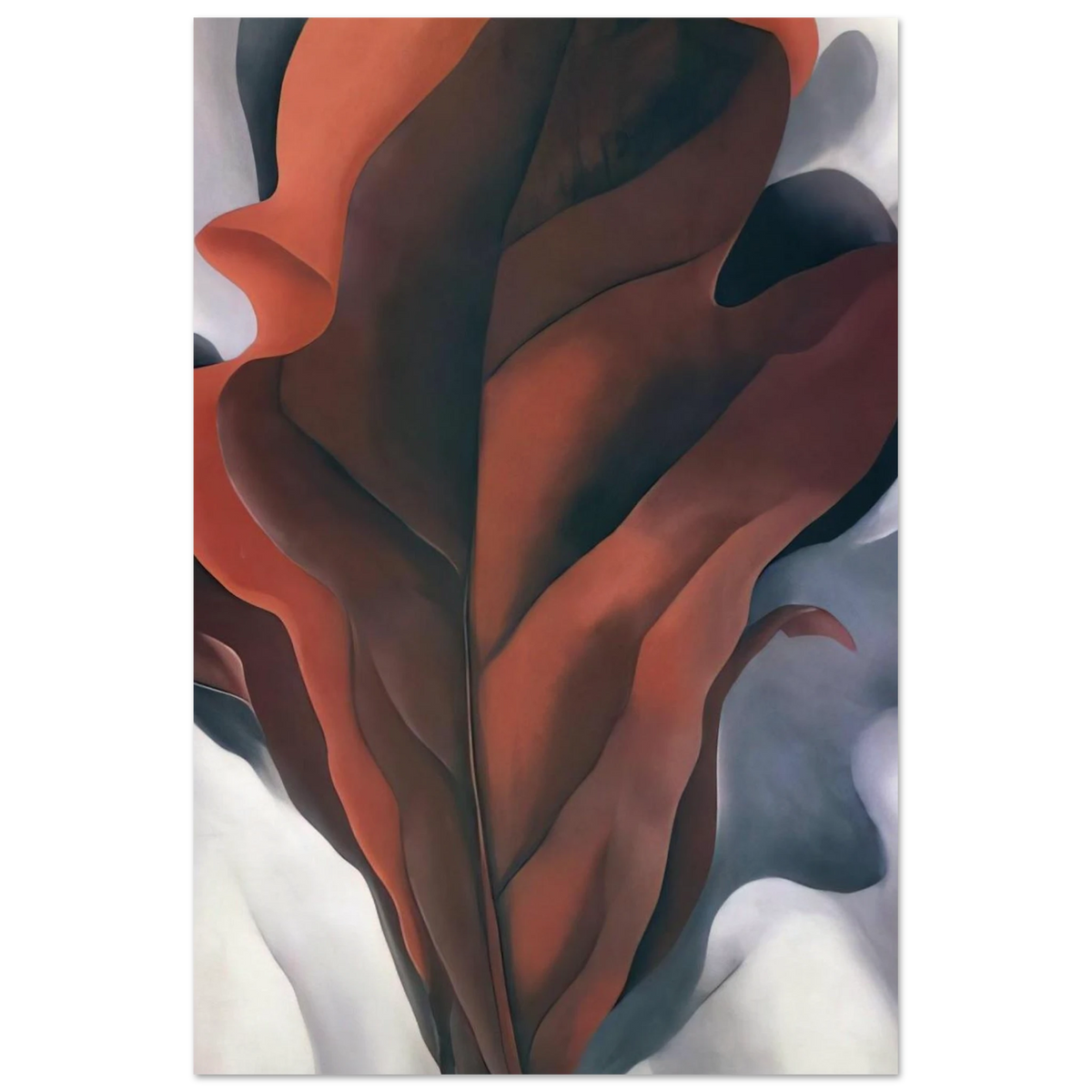 Large Dark Red Leaves on White Poster | Georgia O'Keeffe Poster | Georgia O Keeffe Prints