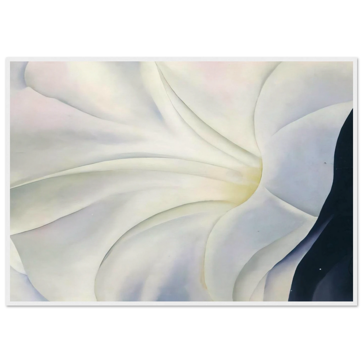 Morning Glory with Black Framed Poster | Georgia O'Keeffe Framed Prints Wall Art | Georgia O Keeffe Prints