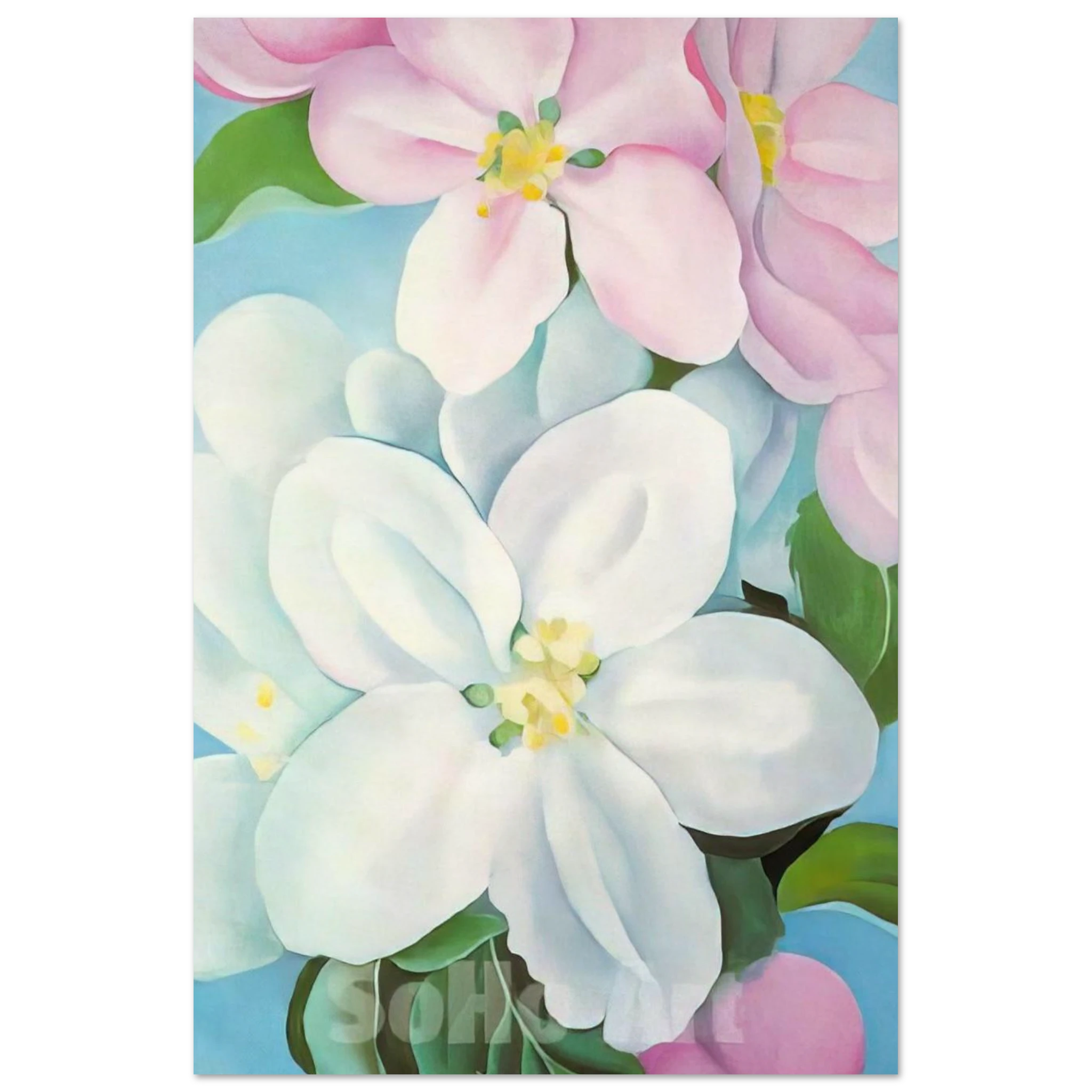 Apple Blossoms Poster | Georgia O'Keeffe Poster | Georgia O Keeffe Prints