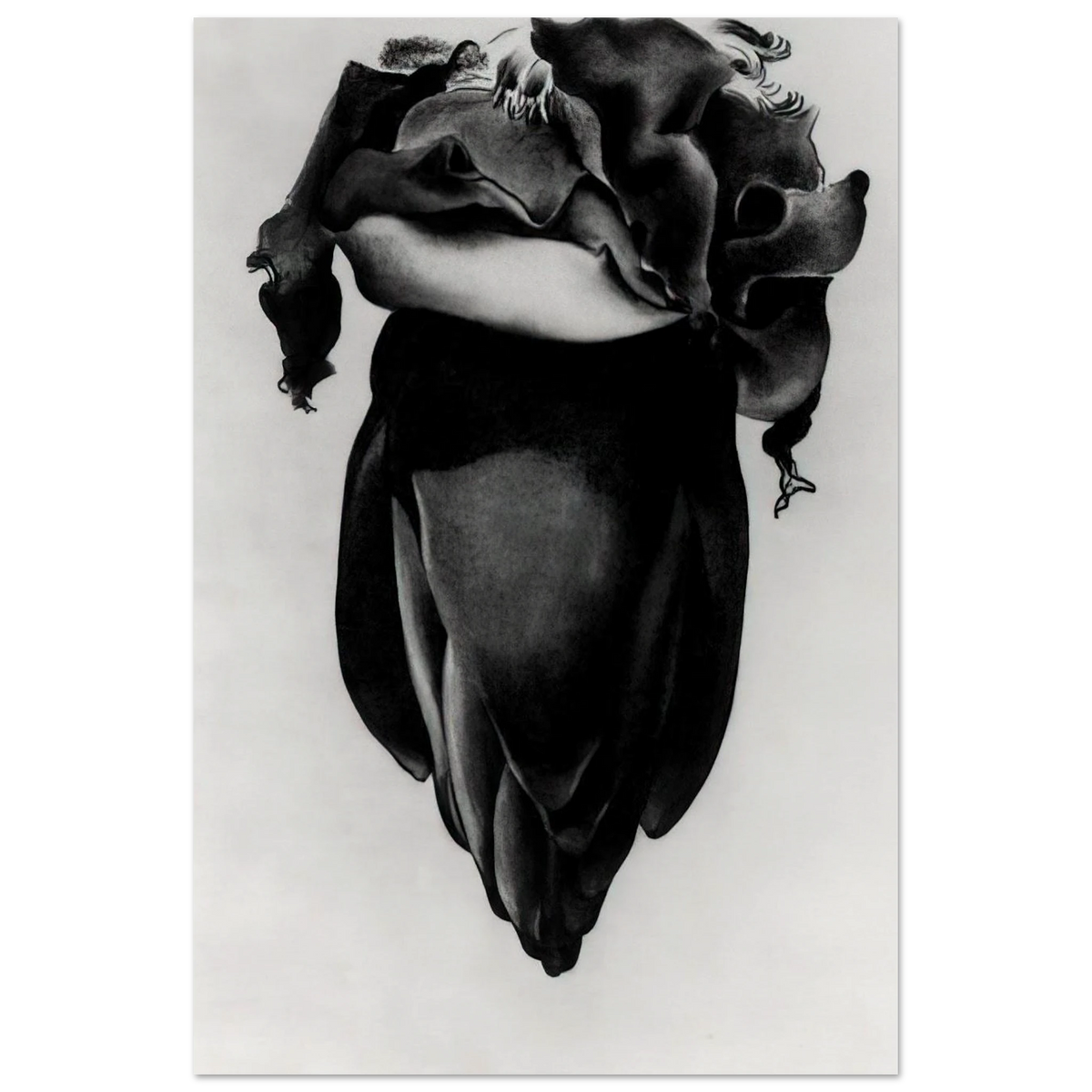 Banana Flower Poster | Georgia O'Keeffe Poster | Georgia O Keeffe Prints