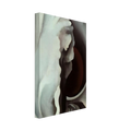 Black Iris Canvas | Georgia O'Keeffe Canvas | Georgia O Keeffe Prints