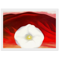 Red hills and white flower Framed Poster | Georgia O'Keeffe Framed Prints Wall Art | Georgia O Keeffe Prints