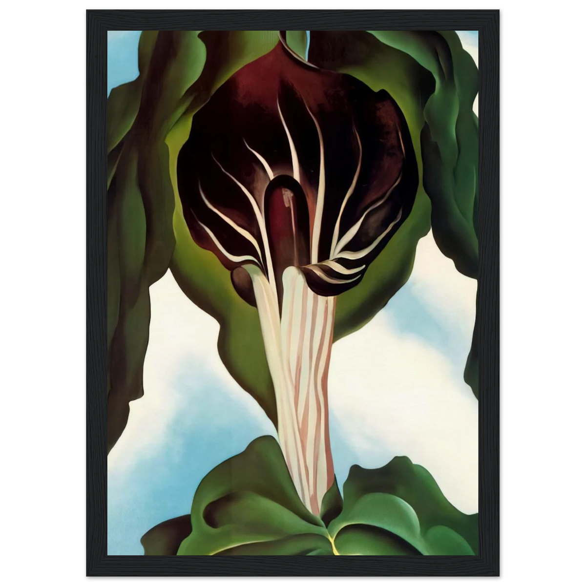 Jack-in-the-Pulpit III Framed Poster | Georgia O'Keeffe Framed Prints Wall Art | Georgia O Keeffe Prints