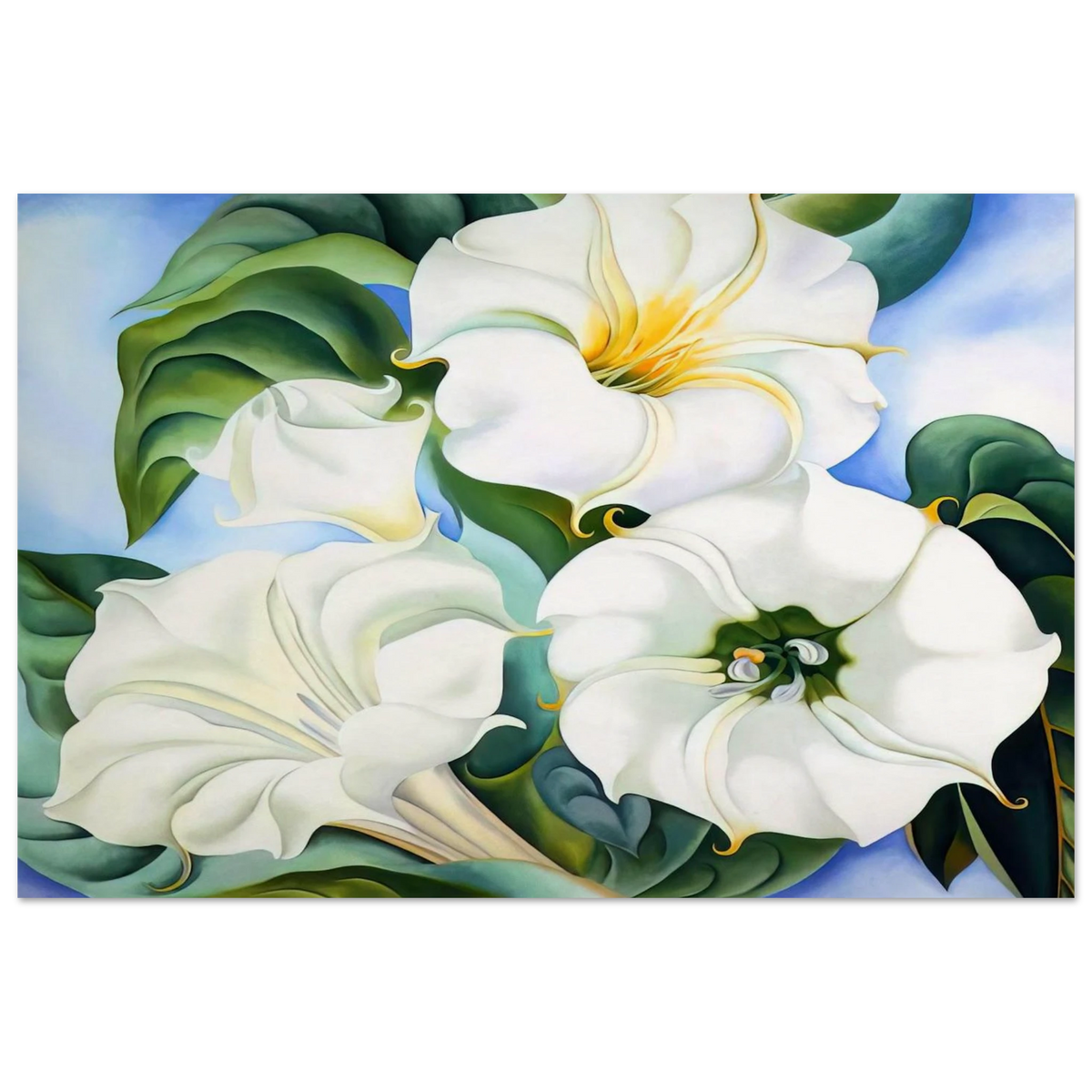 Jimson Weed 3 Poster | Georgia O'Keeffe Poster | Georgia O Keeffe Prints