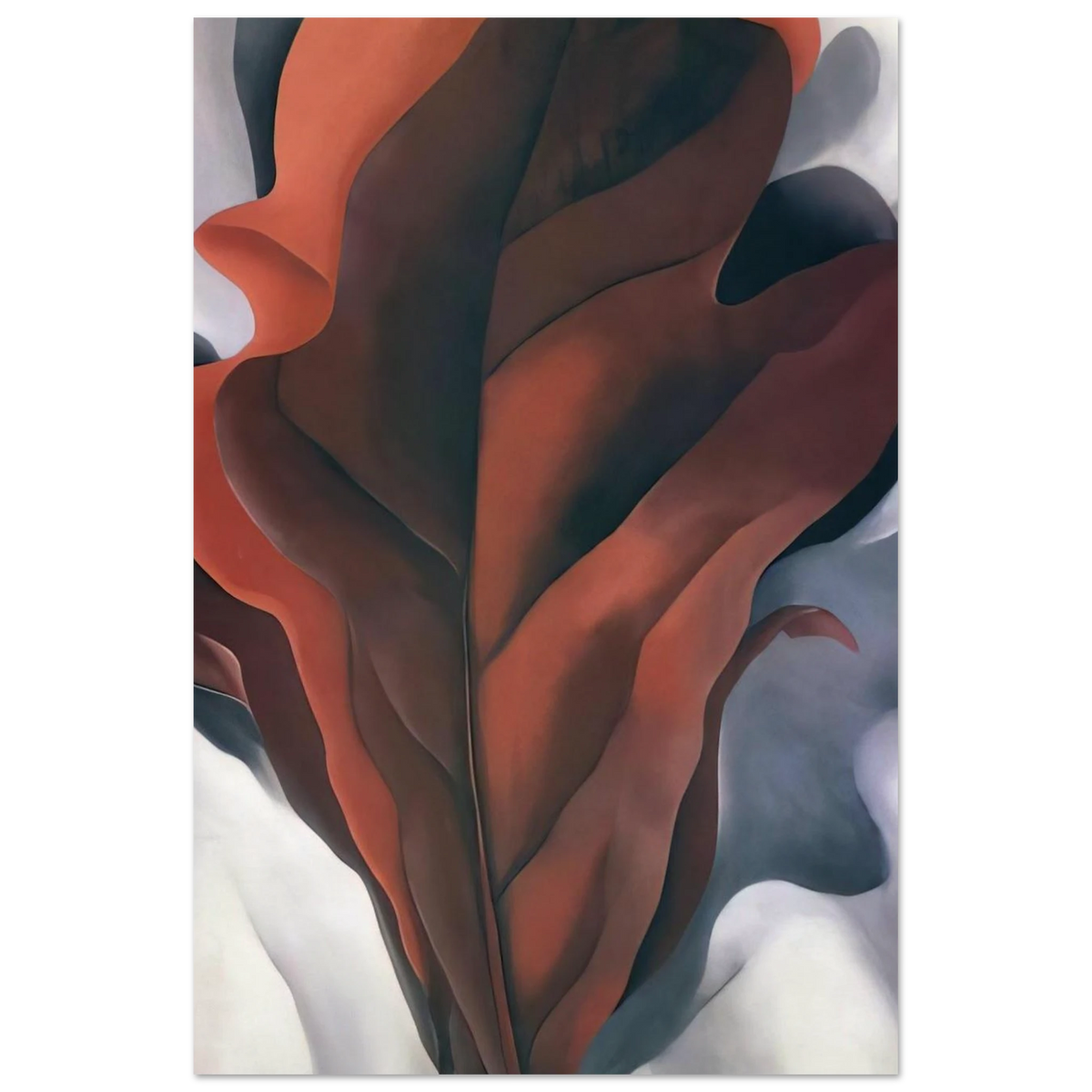 Large Dark Red Leaves on White Poster | Georgia O'Keeffe Poster | Georgia O Keeffe Prints