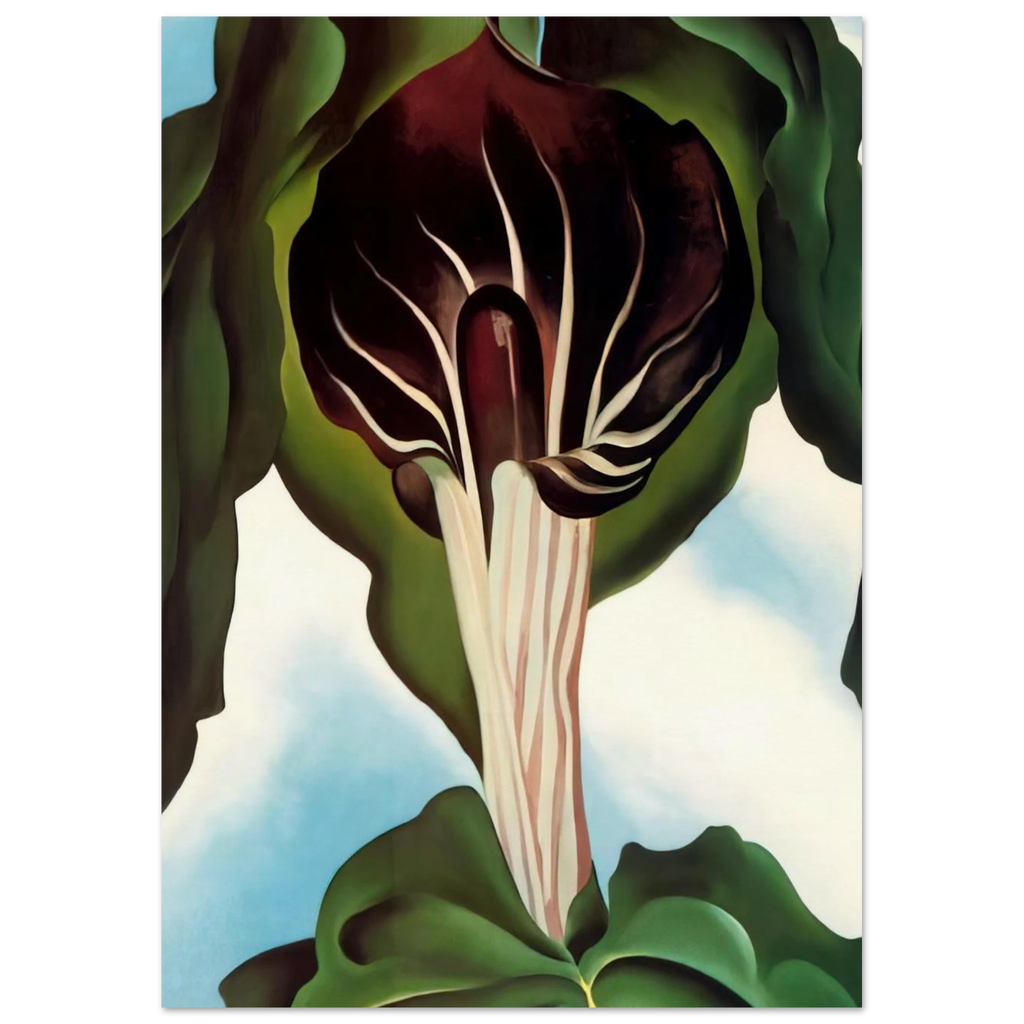 Jack-in-the-Pulpit III Poster | Georgia O'Keeffe Poster | Georgia O Keeffe Prints