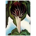 Jack-in-the-Pulpit III Poster | Georgia O'Keeffe Poster | Georgia O Keeffe Prints