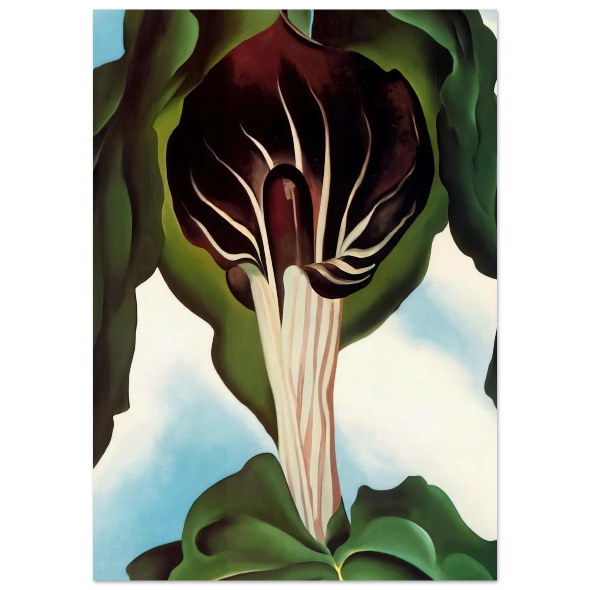 Jack-in-the-Pulpit III Poster | Georgia O'Keeffe Poster | Georgia O Keeffe Prints