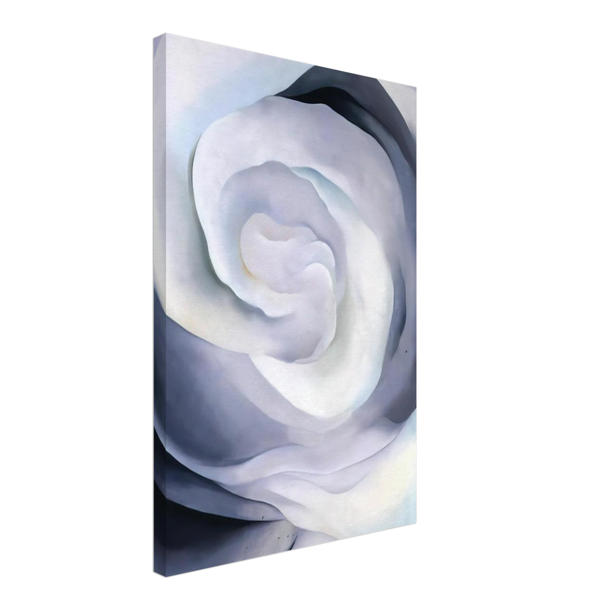 Abstraction White Rose Canvas | Georgia O'Keeffe Canvas | Georgia O Keeffe Prints