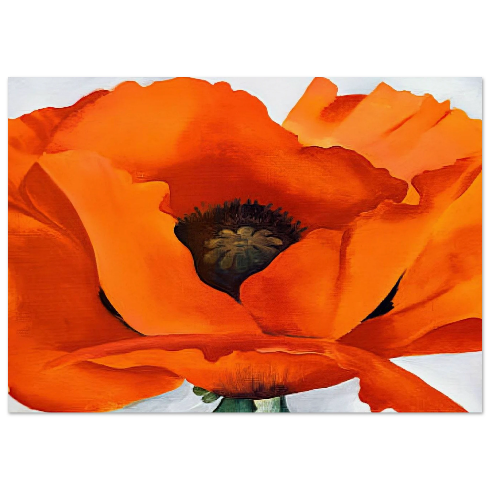 Red Poppy Poster | Georgia O'Keeffe Poster | Georgia O Keeffe Prints