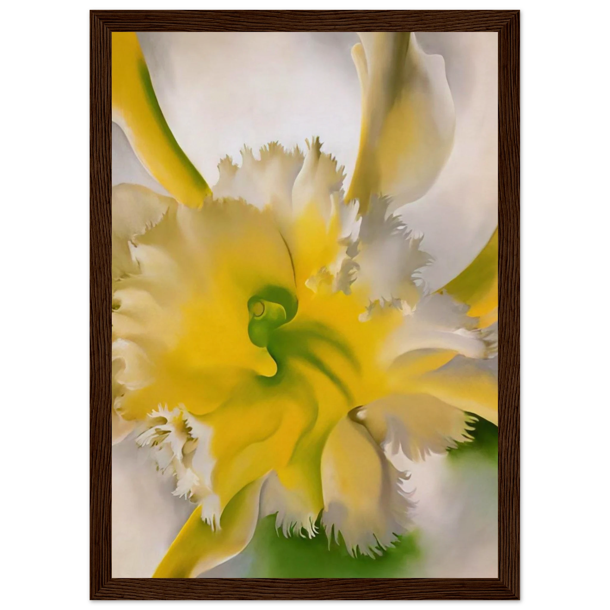 An Orchid Framed Poster | Georgia O'Keeffe Framed Prints Wall Art | Georgia O Keeffe Prints
