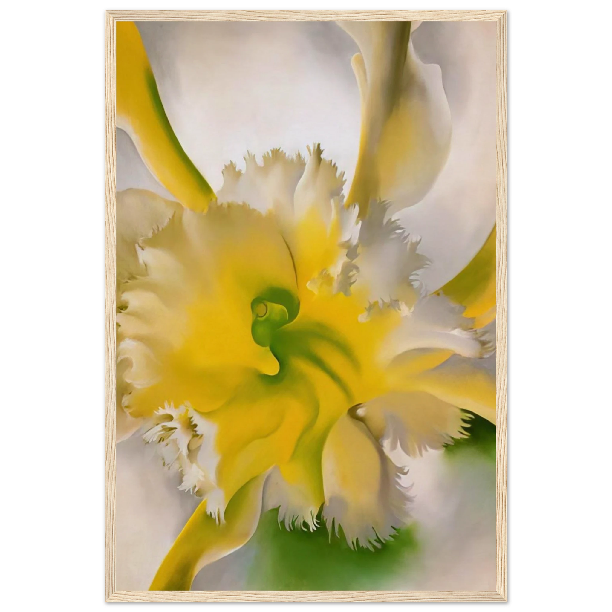 An Orchid Framed Poster | Georgia O'Keeffe Framed Prints Wall Art | Georgia O Keeffe Prints