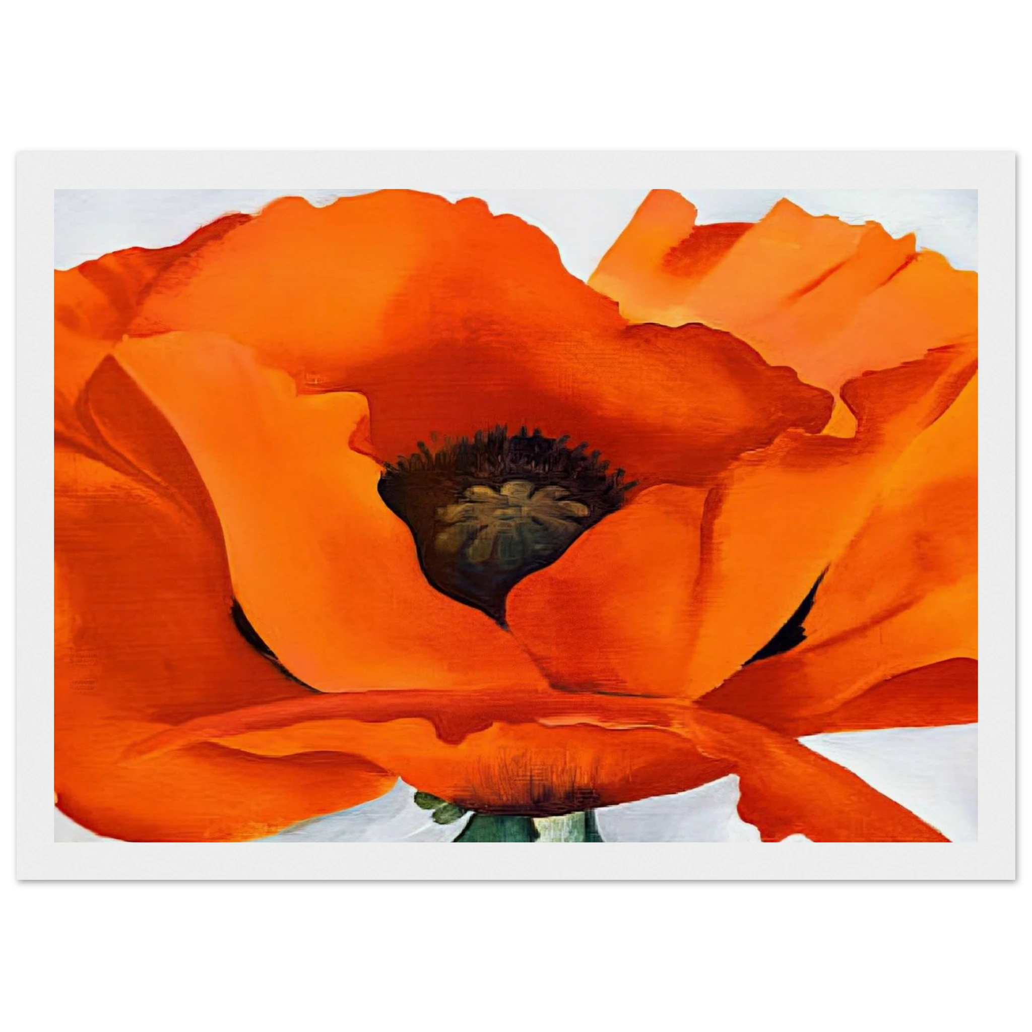 Red Poppy Framed Poster | Georgia O'Keeffe Framed Prints Wall Art | Georgia O Keeffe Prints