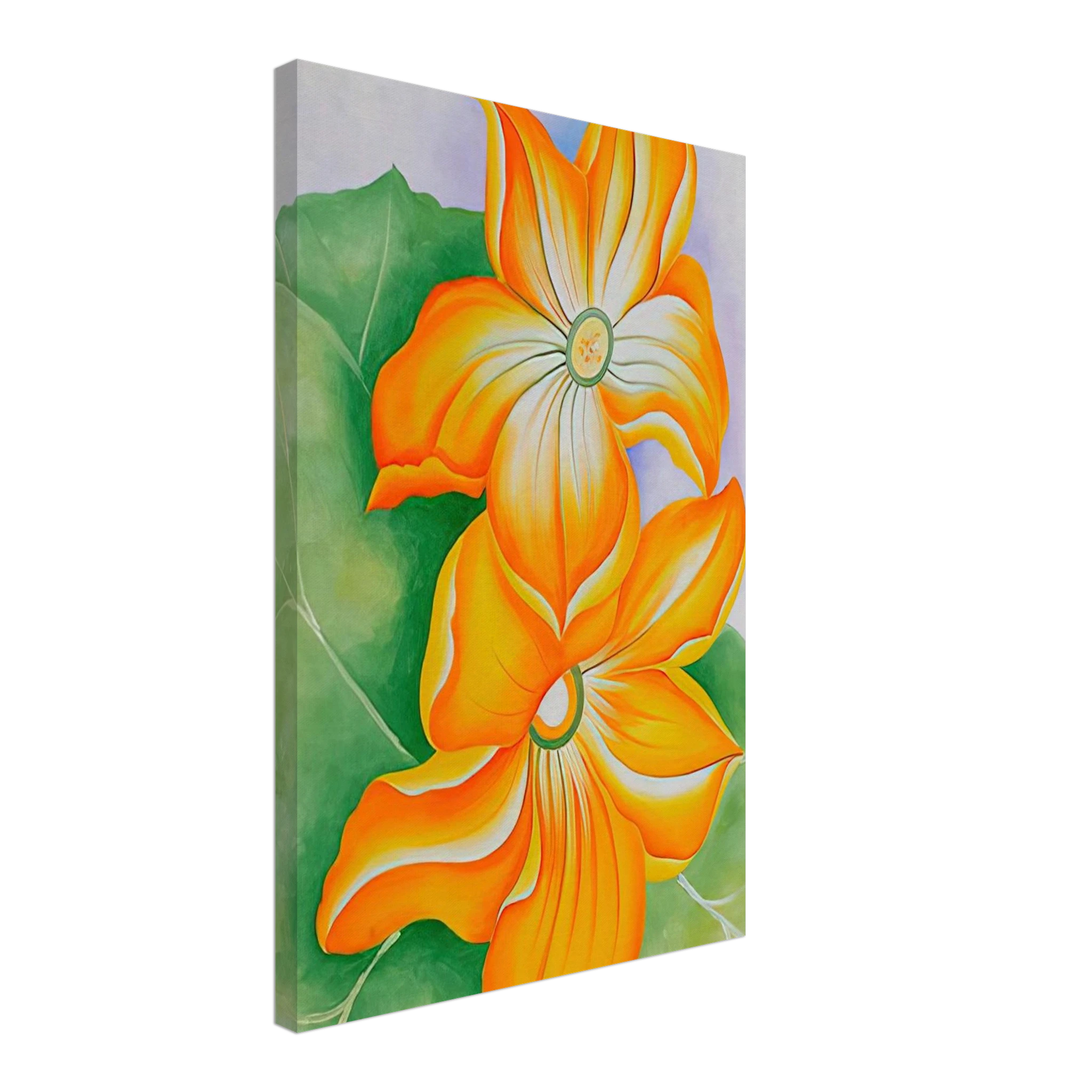 Squash Blossoms Canvas | Georgia O'Keeffe Canvas | Georgia O Keeffe Prints