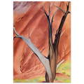 Gerald`s Tree Poster | Georgia O'Keeffe Poster | Georgia O Keeffe Prints