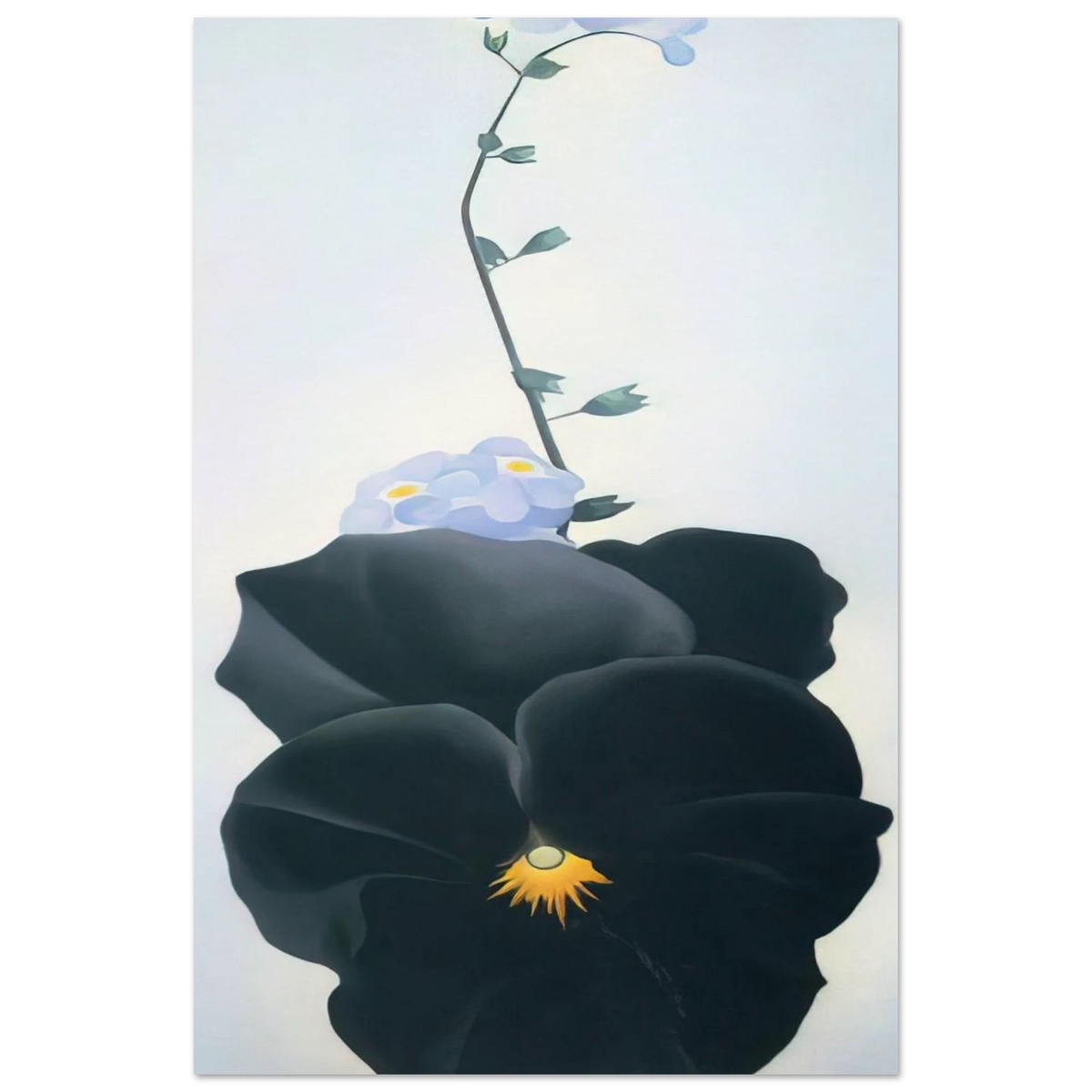 Pansy Poster | Georgia O'Keeffe Poster | Georgia O Keeffe Prints