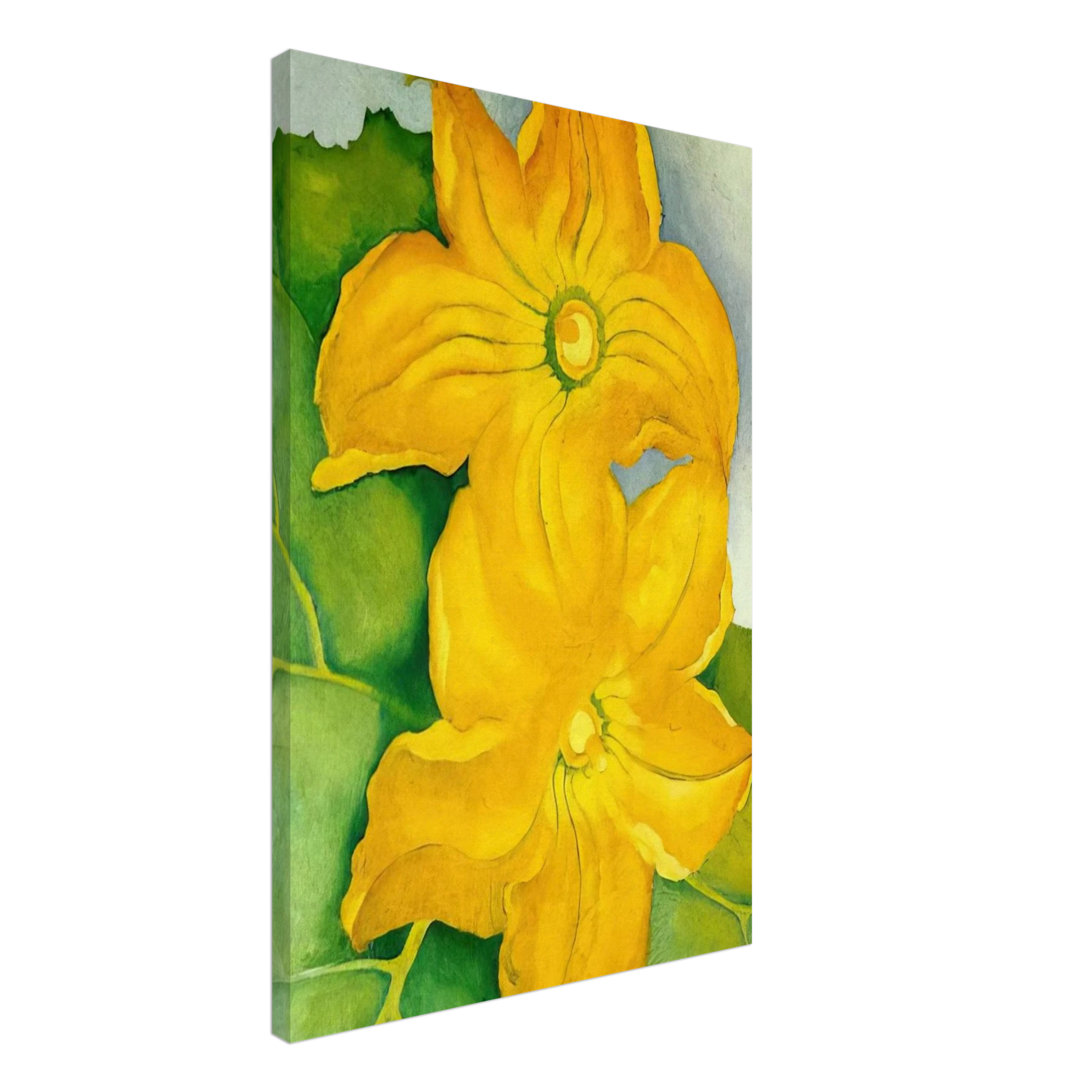 Squash Blossoms I Canvas | Georgia O'Keeffe Canvas | Georgia O Keeffe Prints