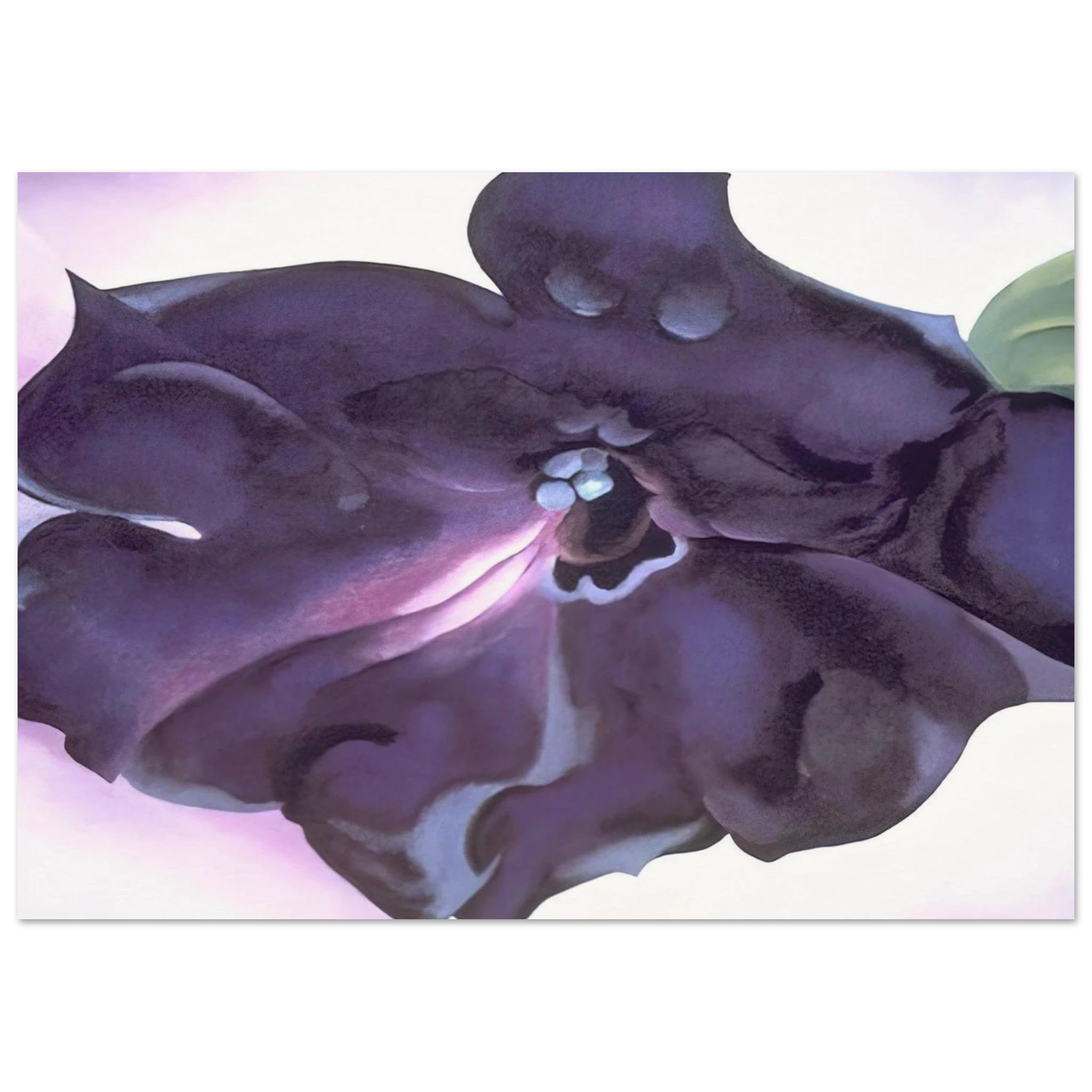 Petunia Poster | Georgia O'Keeffe Poster | Georgia O Keeffe Prints