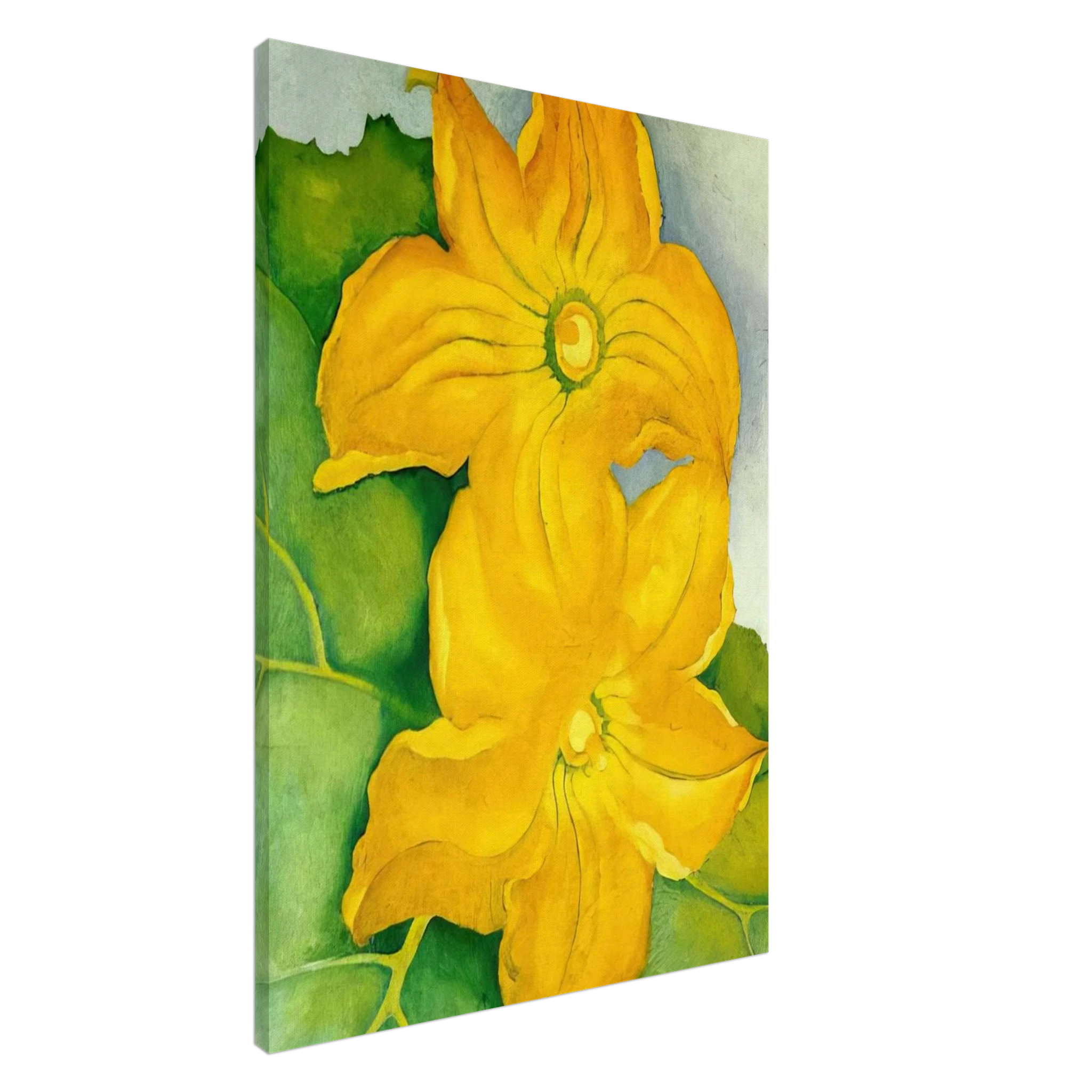 Squash Blossoms I Canvas | Georgia O'Keeffe Canvas | Georgia O Keeffe Prints