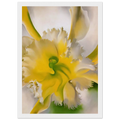 An Orchid Framed Poster | Georgia O'Keeffe Framed Prints Wall Art | Georgia O Keeffe Prints