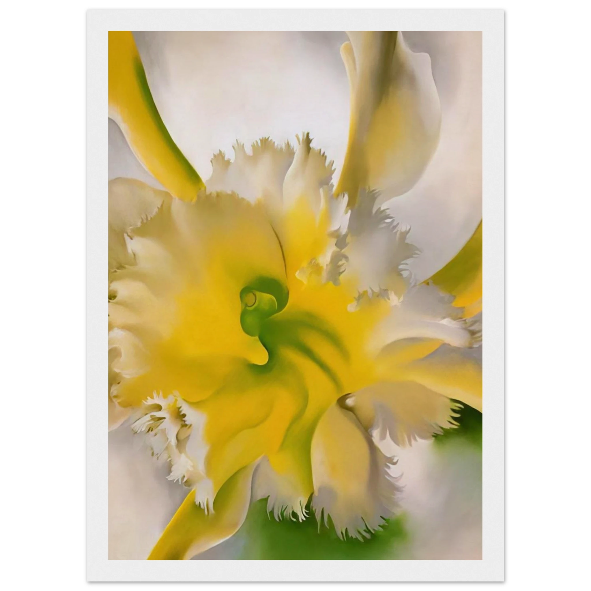An Orchid Framed Poster | Georgia O'Keeffe Framed Prints Wall Art | Georgia O Keeffe Prints