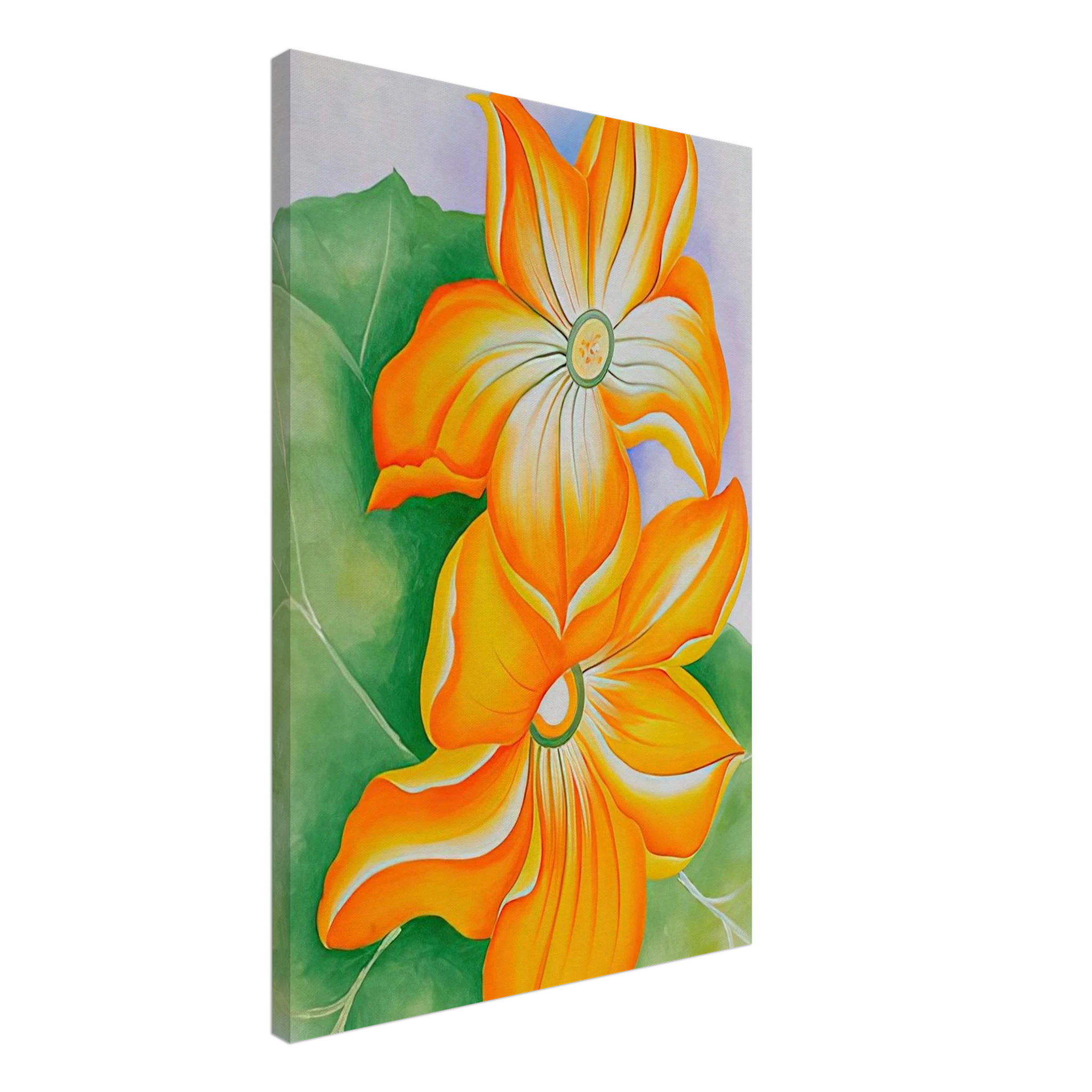 Squash Blossoms Canvas | Georgia O'Keeffe Canvas | Georgia O Keeffe Prints