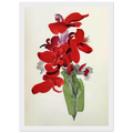 Red Canna Framed Poster | Georgia O'Keeffe Framed Prints Wall Art | Georgia O Keeffe Prints