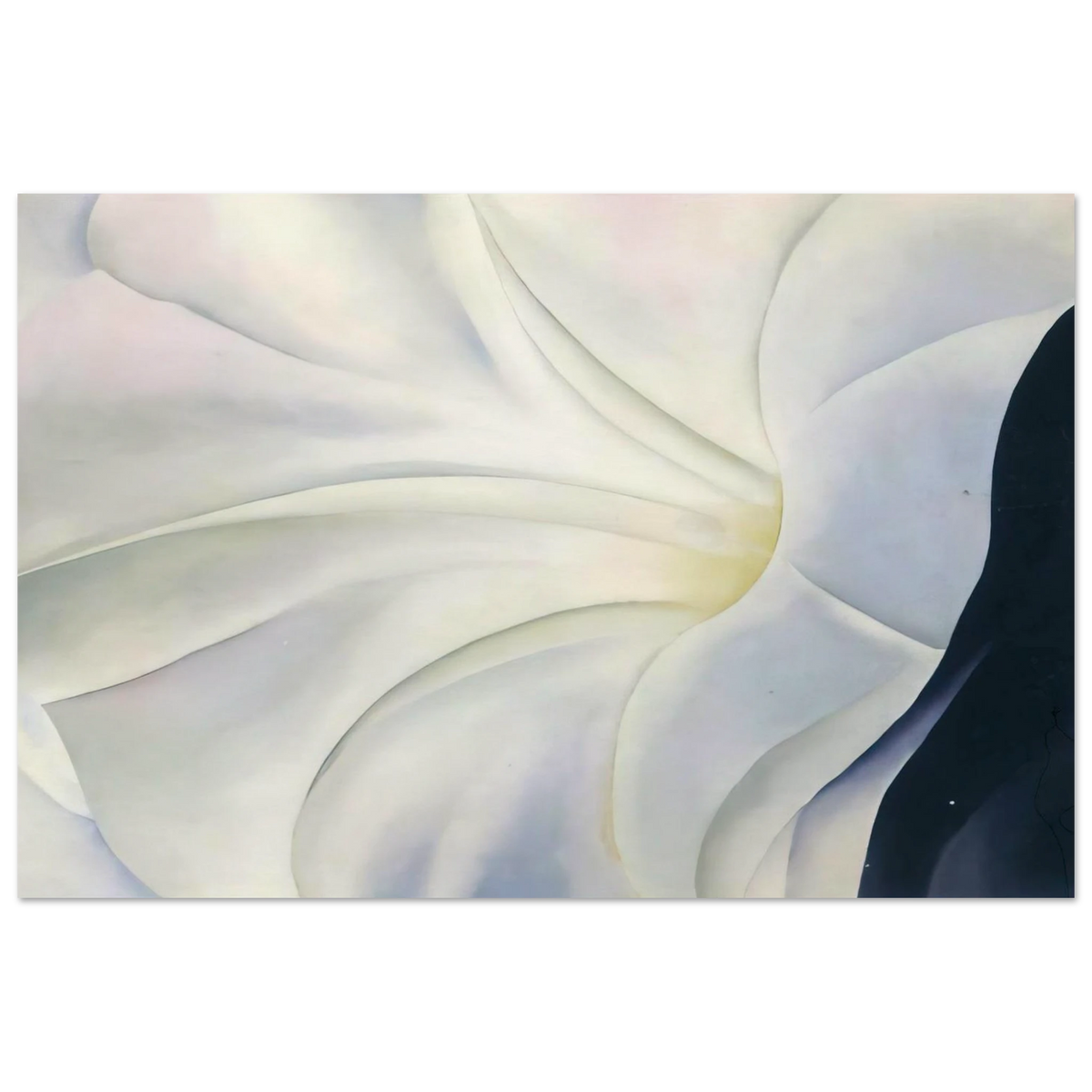 Morning Glory with Black Poster | Georgia O'Keeffe Poster | Georgia O Keeffe Prints