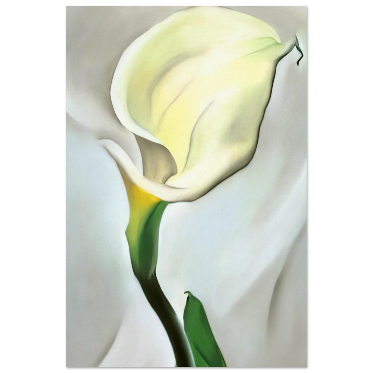 Calla Lily Turned Away Poster | Georgia O'Keeffe Poster | Georgia O Keeffe Prints