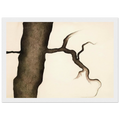 Drawing III Framed Poster | Georgia O'Keeffe Framed Prints Wall Art | Georgia O Keeffe Prints