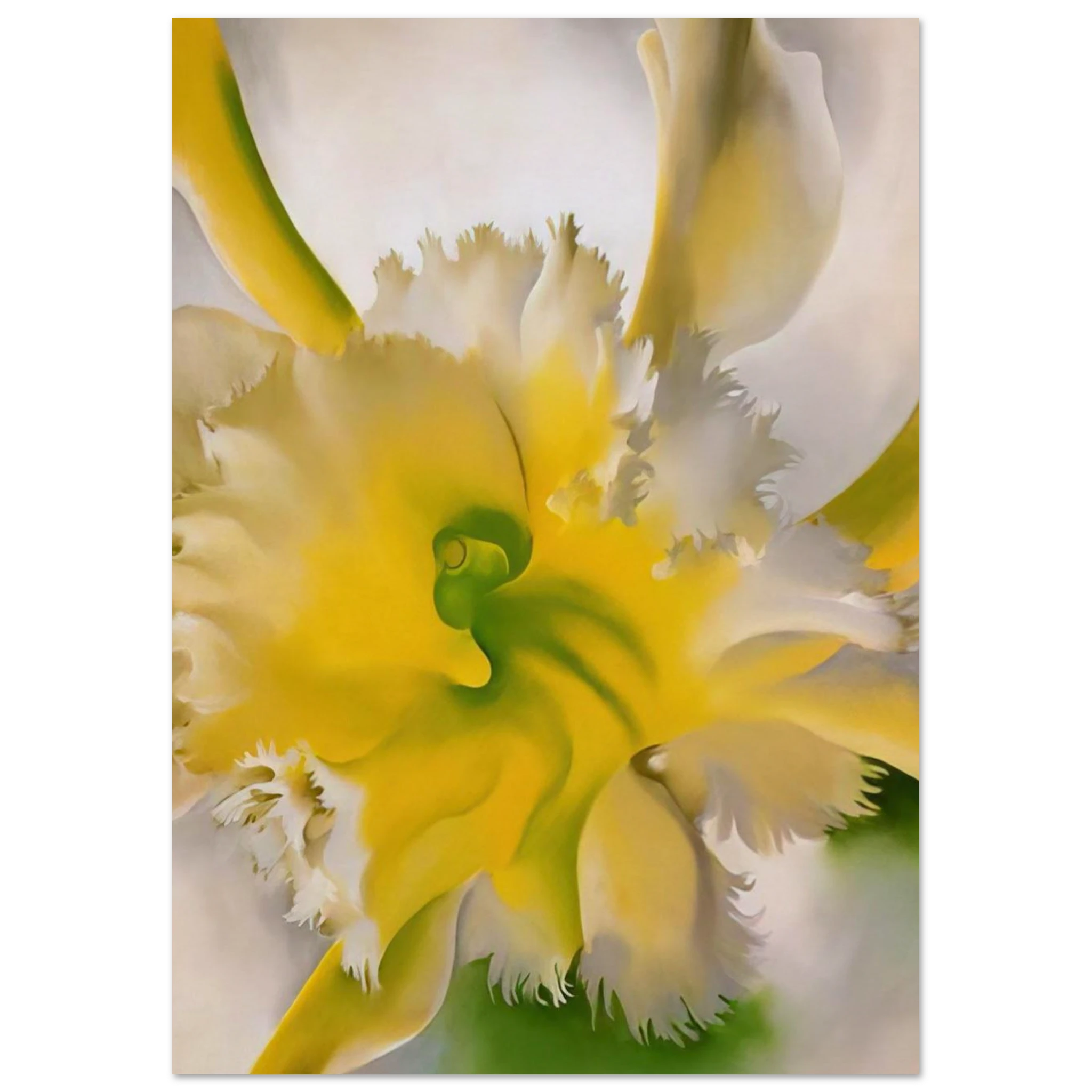 An Orchid Poster | Georgia O'Keeffe Poster | Georgia O Keeffe Prints