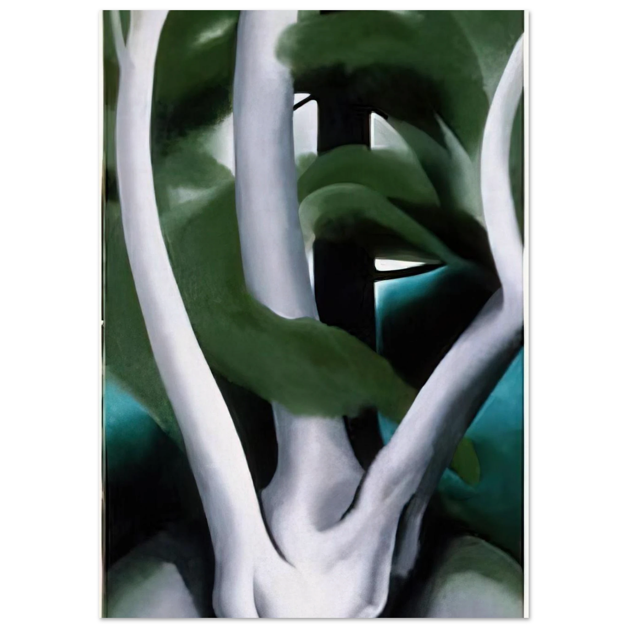 Birch and Pine Tree No. 1 Poster | Georgia O'Keeffe Poster | Georgia O Keeffe Prints