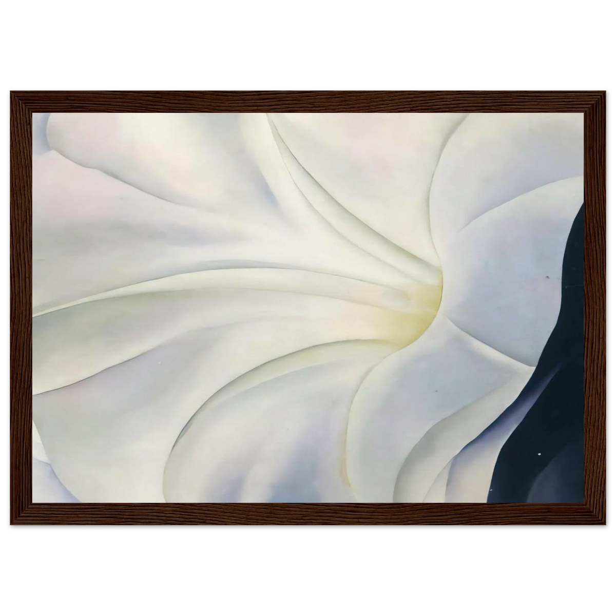 Morning Glory with Black Framed Poster | Georgia O'Keeffe Framed Prints Wall Art | Georgia O Keeffe Prints