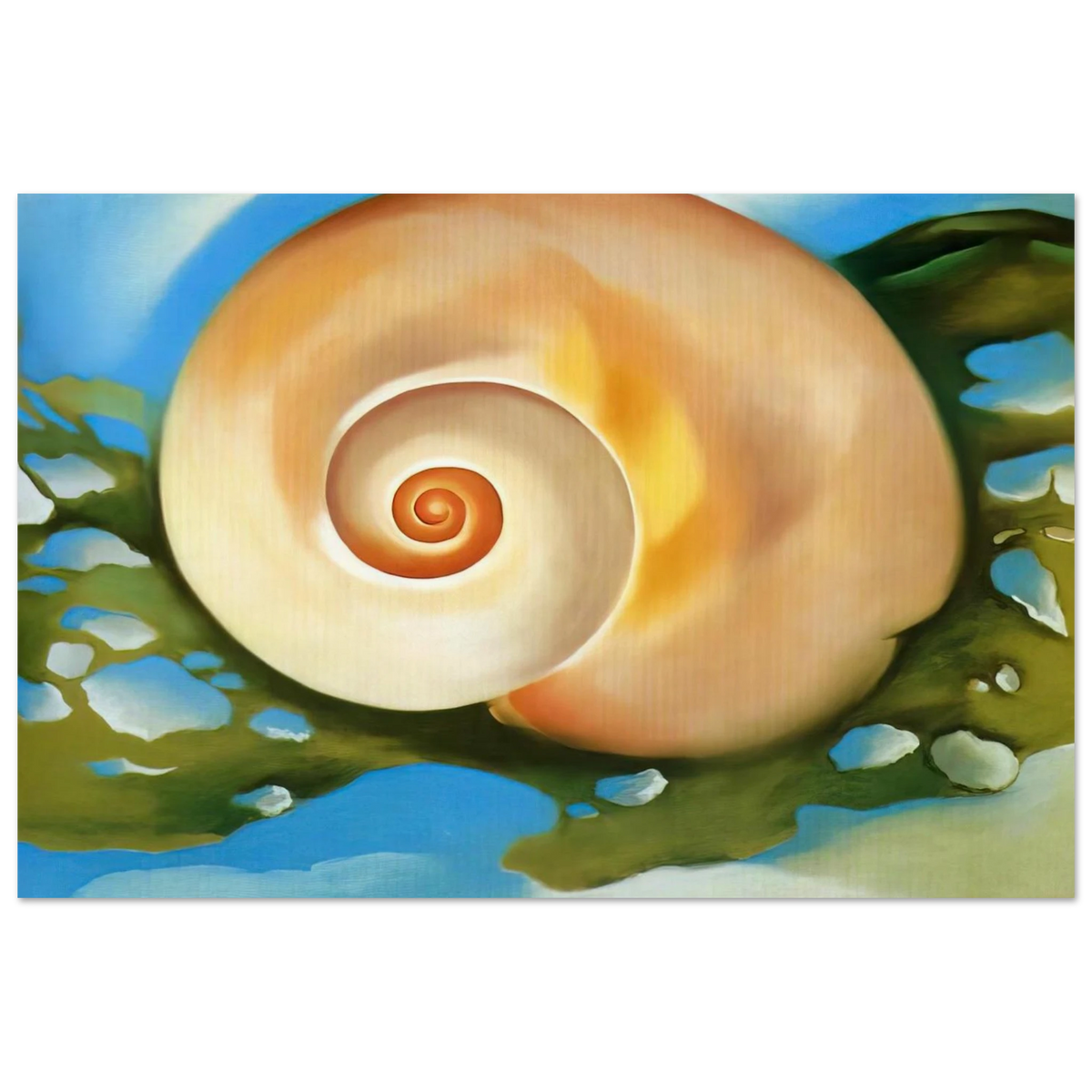 Pink Shell with Seaweed Poster | Georgia O'Keeffe Poster | Georgia O Keeffe Prints