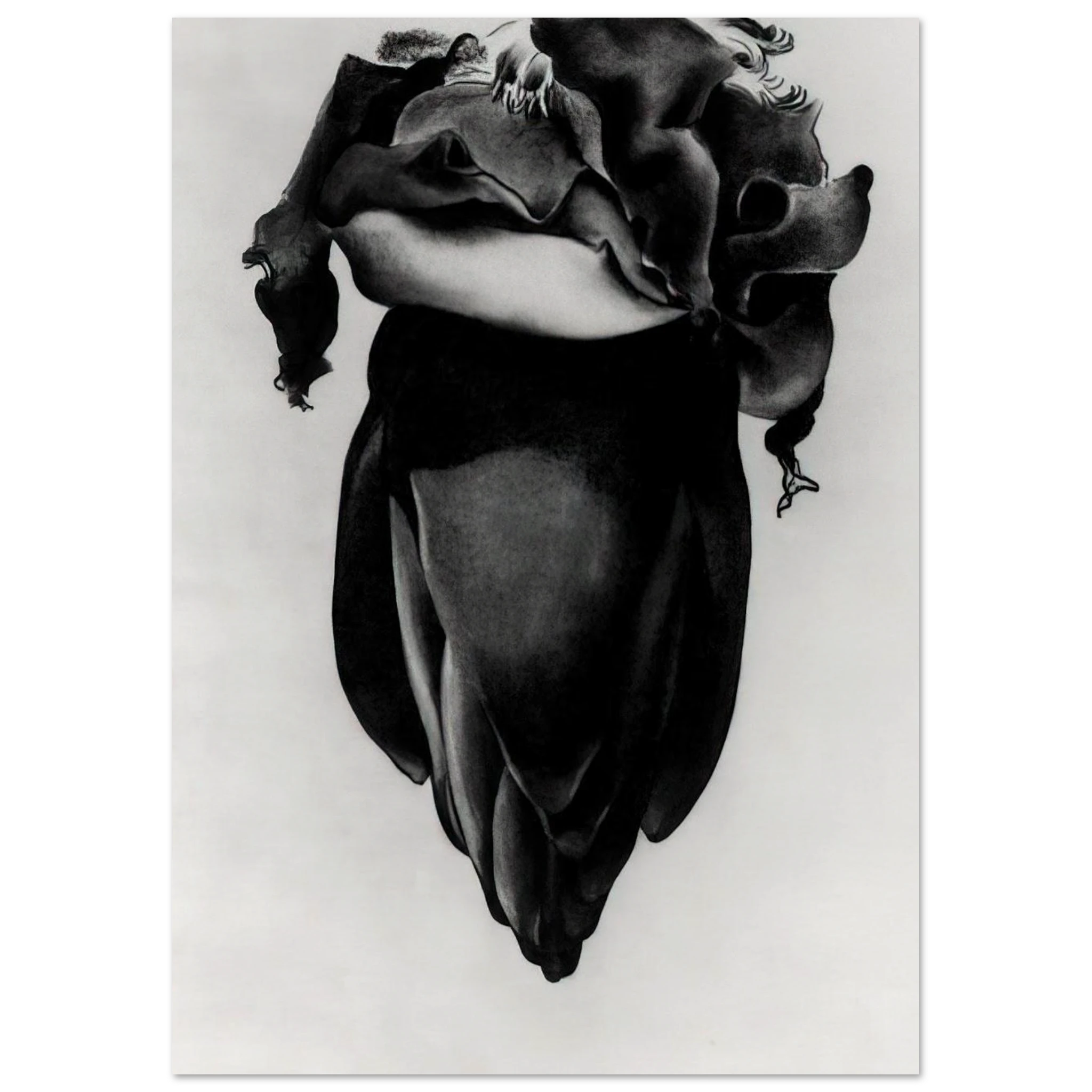 Banana Flower Poster | Georgia O'Keeffe Poster | Georgia O Keeffe Prints