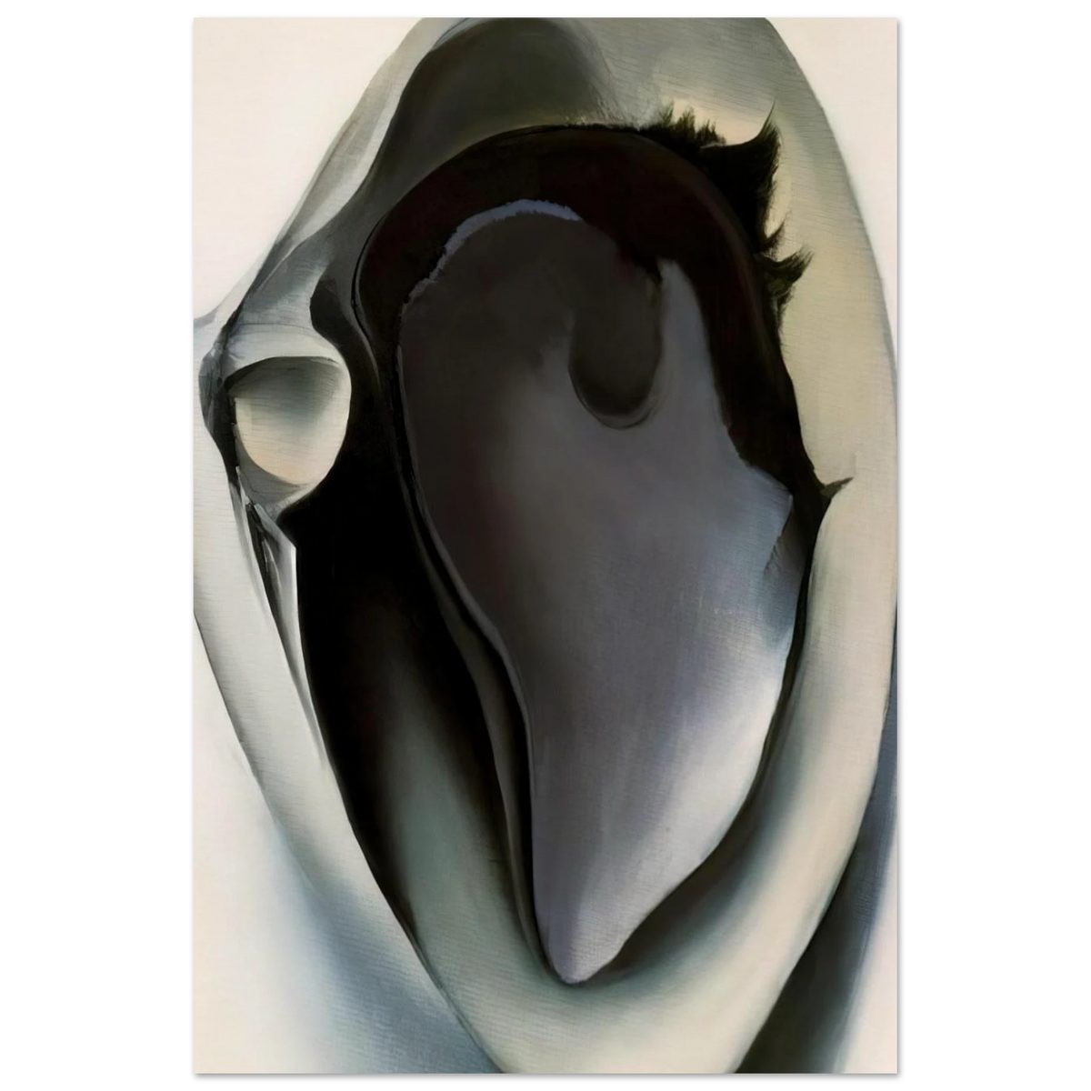 Clam and mussel Poster | Georgia O'Keeffe Poster | Georgia O Keeffe Prints