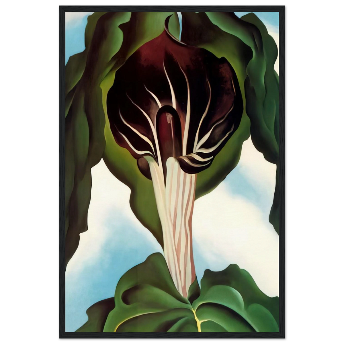 Jack-in-the-Pulpit III Framed Poster | Georgia O'Keeffe Framed Prints Wall Art | Georgia O Keeffe Prints