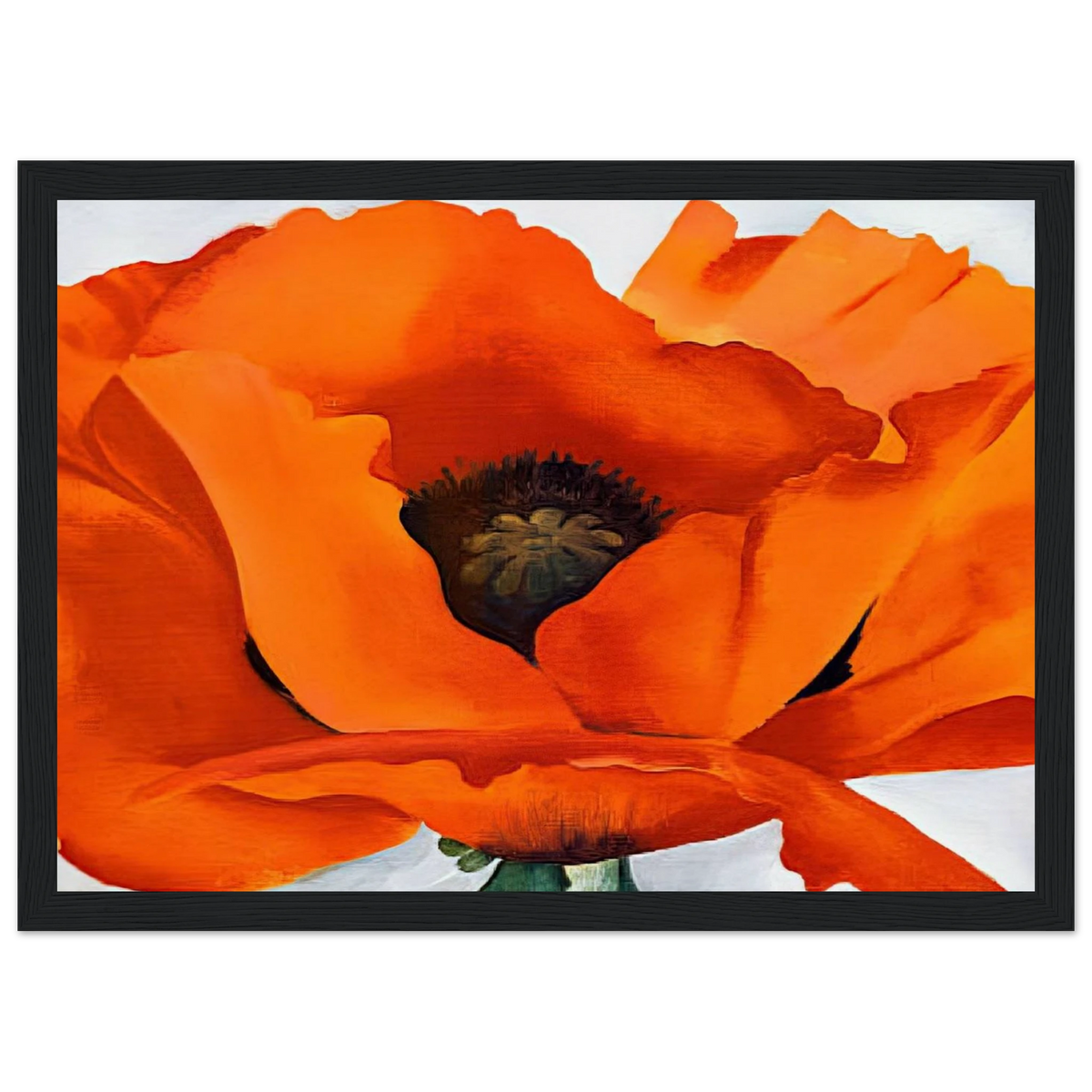 Red Poppy Framed Poster | Georgia O'Keeffe Framed Prints Wall Art | Georgia O Keeffe Prints